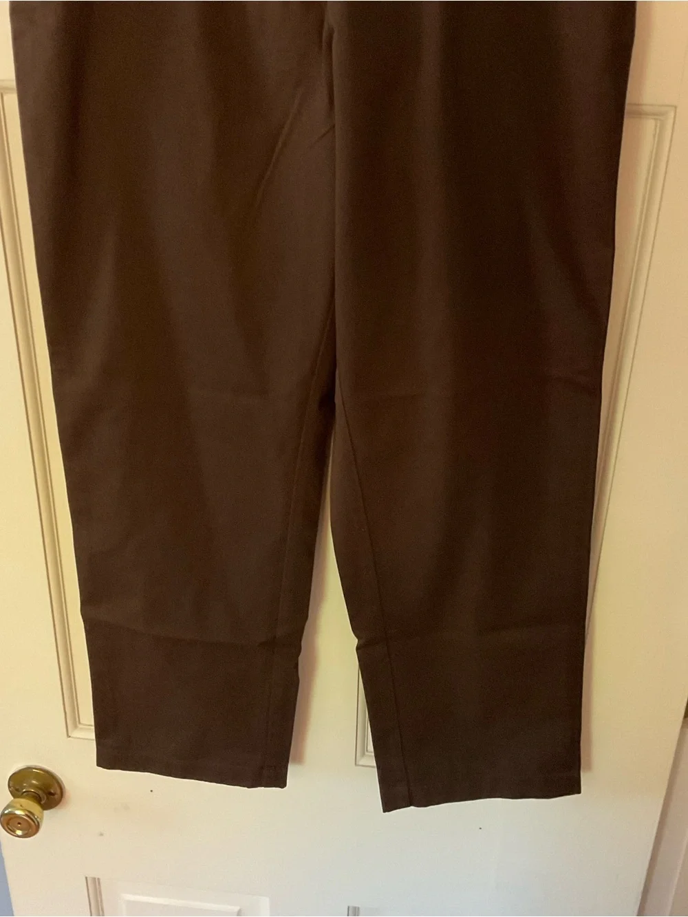 L.L. Bean Wrinkle Resistant Curvy Fit Cotton Pants Brown Size 10P Petite NWT
